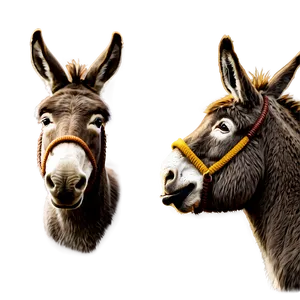 Donkey Illustration PNG 79