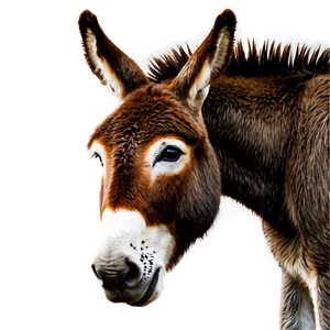 Donkey Illustration PNG Aij30
