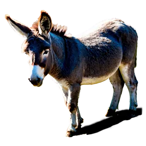 Donkey In Farmyard PNG 44 PNG