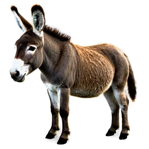 Donkey In Field PNG 05232024