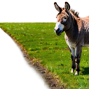 Donkey In Field PNG Lar