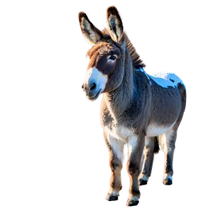 Donkey In Snow PNG 72 PNG