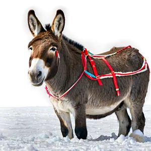 Donkey In Snow PNG 79 PNG