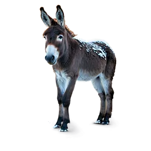 Donkey In Snow PNG Bjx