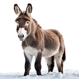 Donkey In Snow PNG Vvs PNG