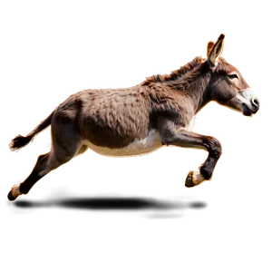 Donkey Kicking PNG 54
