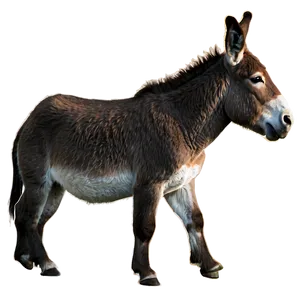 Donkey Outline PNG 10
