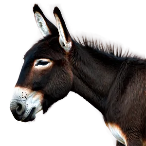Donkey Outline PNG 61