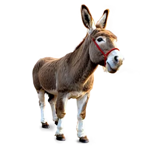 Donkey Outline PNG Frl37