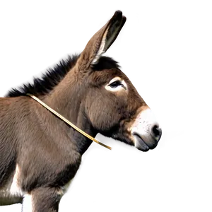 Donkey Profile View PNG 05232024 PNG