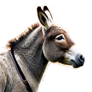 Donkey Profile View PNG Bfx PNG