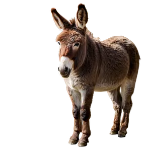 Donkey Side View PNG Dke99