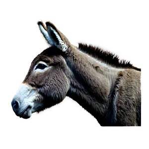Donkey Silhouette PNG 59 PNG