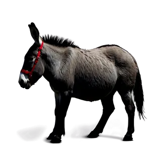 Donkey Silhouette PNG Tpa4 PNG