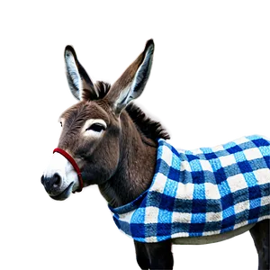 Donkey With Blanket PNG Osx PNG