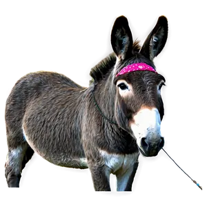 Donkey With Hat PNG Alc