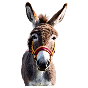 Donkey With Hat PNG Dpo
