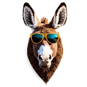 Donkey With Sunglasses PNG Wqw77