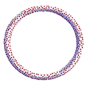 Dotted Circle Outline Png Oso PNG image