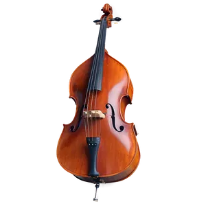 Double Bass In Orchestra PNG Ttu94 PNG