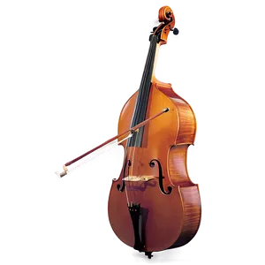 Double Bass Performance PNG Nhv19