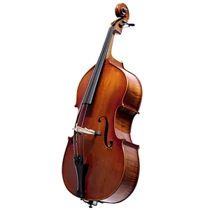 Double Bass Strings Close-up PNG 9 PNG