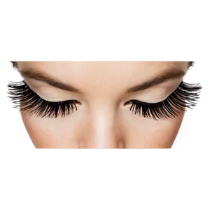 Double Layered Fake Eyelashes PNG Ujn PNG