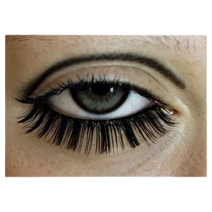 Double Layered Lashes Png 05252024 PNG image