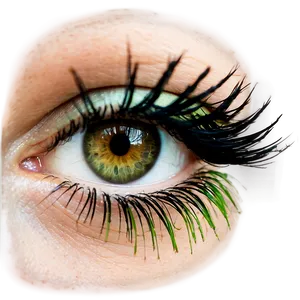 Double Layered Lashes Png 3 PNG image