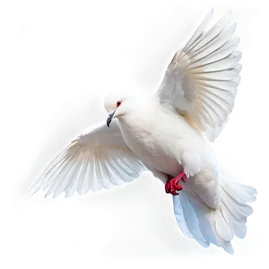 Dove A PNG