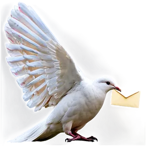 Dove Carrying Letter PNG Hop79