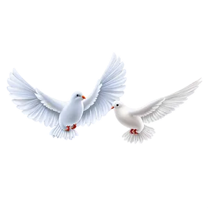 Dove Clipart Border PNG Ikp36 PNG
