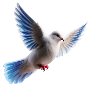 Dove Clipart For Peace Day PNG 06262024 PNG