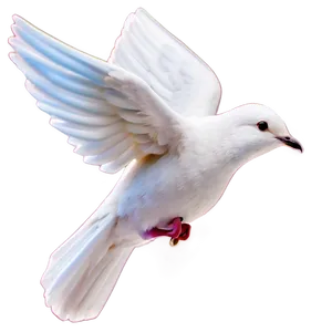 Dove Clipart For Peace Day PNG 06262024