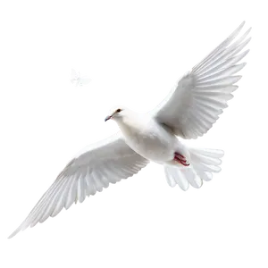 Dove Clipart PNG Eyg PNG