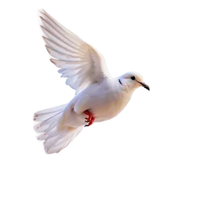 Dove Clipart PNG Luu28 PNG