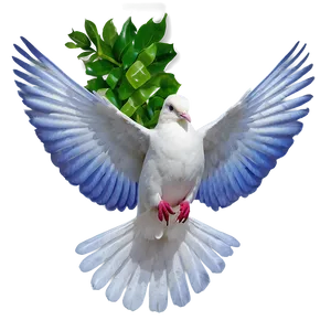 Dove D PNG
