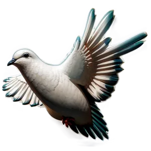 Dove Decoration PNG 62