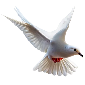 Dove Decoration PNG Sxl94 PNG