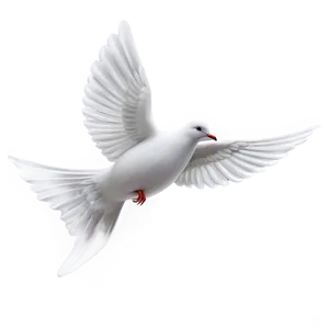 Dove Decoration PNG Uwh76 PNG