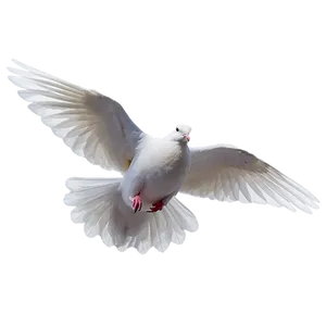 Dove Graphic PNG 48