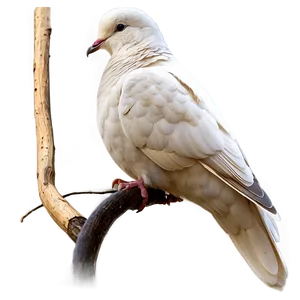 Dove Graphic PNG Hag