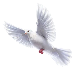 Dove Graphic Png Lno45 PNG image