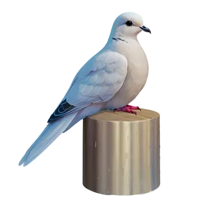 Dove Icon Png Dhf12 PNG image