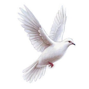 Dove Illustration Png Dhf PNG image