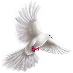 Dove Illustration PNG Nwg