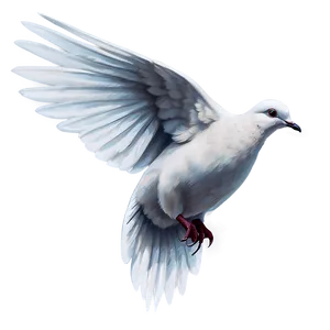 Dove Illustration Png Xwl31 PNG image