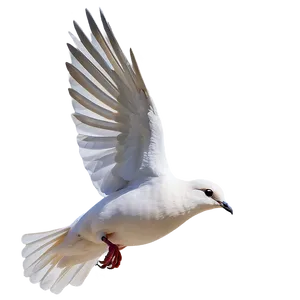Dove In Flight Clipart PNG Tsb