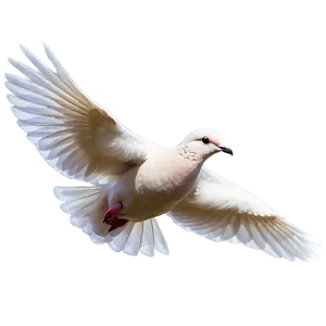 Dove In Flight PNG 05042024
