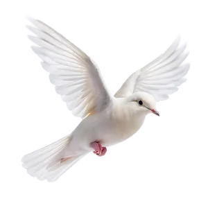 Dove In Flight PNG Ieu